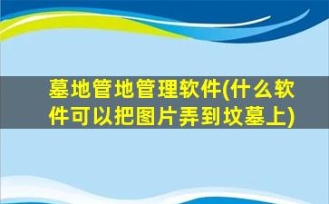 墓地管地管理软件(什么软件可以把图片弄到坟墓上)