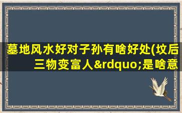墓地风水好对子孙有啥好处(坟后三物变富人”是啥意思)