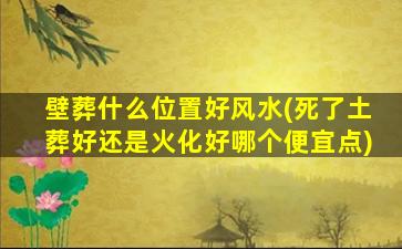 壁葬什么位置好风水(死了土葬好还是火化好哪个便宜点)