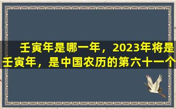 壬寅年是哪一年，2023年将是壬寅年，是中国农历的第六十一个节气年