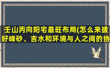 壬山丙向阳宅最旺布局(怎么来拔好峰砂、吉水和环境与人之间的协调统一关系)