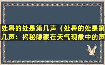 处暑的处是第几声（处暑的处是第几声：揭秘隐藏在天气现象中的声音秘密）