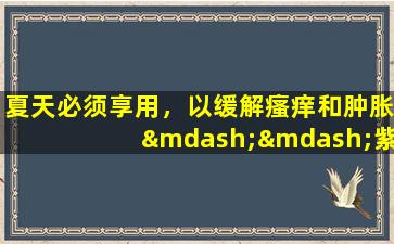 夏天必须享用，以缓解瘙痒和肿胀——紫草