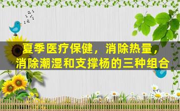 夏季医疗保健，消除热量，消除潮湿和支撑杨的三种组合