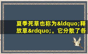 夏季死草也称为“释放草”。它分散了各种结节，只是酿造茶。