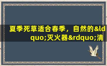 夏季死草适合春季，自然的“灭火器”清除肝脏并改善眼睛。来学习