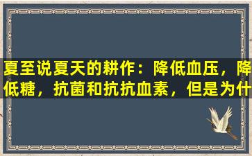 夏至说夏天的耕作：降低血压，降低糖，抗菌和抗抗血素，但是为什么不能长时间服用它