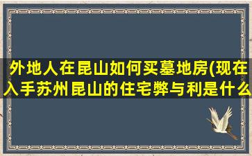 外地人在昆山如何买墓地房(现在入手苏州昆山的住宅弊与利是什么)