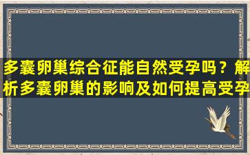多囊卵巢综合征能自然受孕吗？解析多囊卵巢的影响及如何提高受孕几率