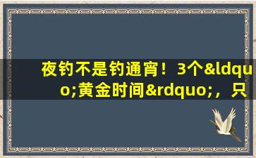 夜钓不是钓通宵！3个“黄金时间”，只需抓住一个就行了