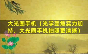 大光圈手机（光学变焦实力加持，大光圈手机拍照更清晰）