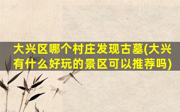 大兴区哪个村庄发现古墓(大兴有什么好玩的景区可以推荐吗)