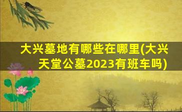 大兴墓地有哪些在哪里(大兴天堂公墓2023有班车吗)