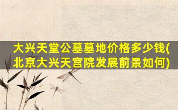 大兴天堂公墓墓地价格多少钱(北京大兴天宫院发展前景如何)