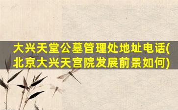 大兴天堂公墓管理处地址电话(北京大兴天宫院发展前景如何)