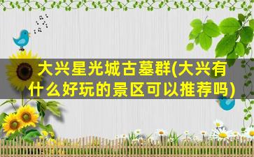 大兴星光城古墓群(大兴有什么好玩的景区可以推荐吗)