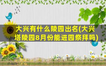 大兴有什么陵园出名(大兴塔陵园8月份能进园祭拜吗)