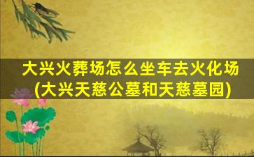 大兴火葬场怎么坐车去火化场(大兴天慈公墓和天慈墓园)