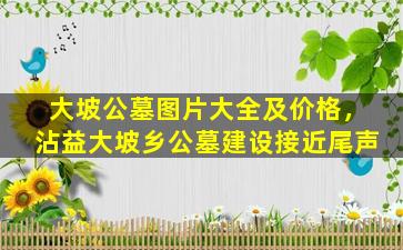 大坡公墓图片大全及价格，沾益大坡乡公墓建设接近尾声