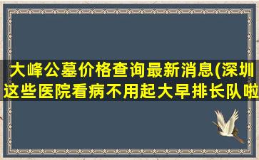 大峰公墓价格查询最新消息(深圳这些医院看病不用起大早排长队啦)
