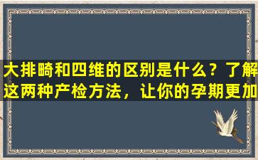 大排畸和四维的区别是什么？了解这两种产检方法，让你的孕期更加安心！