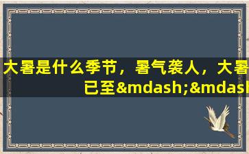 大暑是什么季节，暑气袭人，大暑已至——警惕高温天气带来的健康问题