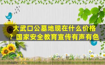 大武口公墓地现在什么价格？国家安全教育宣传有声有色