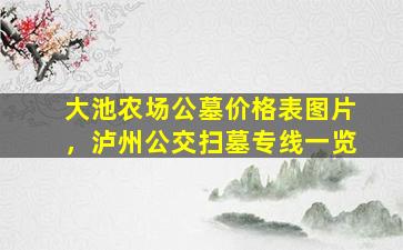 大池农场公墓价格表图片，泸州公交扫墓专线一览