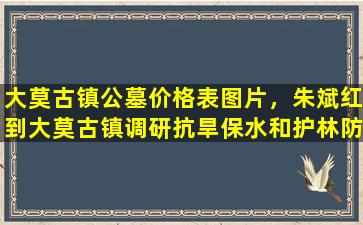 大莫古镇公墓价格表图片，朱斌红到大莫古镇调研抗旱保水和护林防火工作