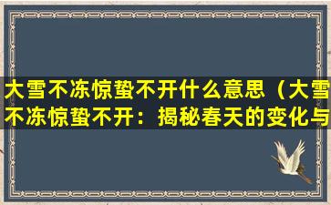 大雪不冻惊蛰不开什么意思（大雪不冻惊蛰不开：揭秘春天的变化与挑战）
