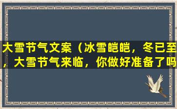 大雪节气文案（冰雪皑皑，冬已至，大雪节气来临，你做好准备了吗？）