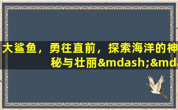 大鲨鱼，勇往直前，探索海洋的神秘与壮丽——大鲨鱼的世界