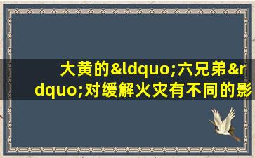 大黄的“六兄弟”对缓解火灾有不同的影响