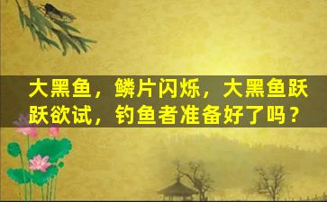大黑鱼，鳞片闪烁，大黑鱼跃跃欲试，钓鱼者准备好了吗？