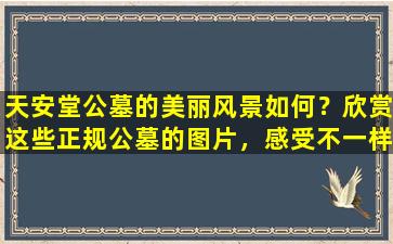 天安堂公墓的美丽风景如何？欣赏这些正规公墓的图片，感受不一样的宁静与安详！