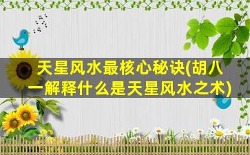 天星风水最核心秘诀(胡八一解释什么是天星风水之术)