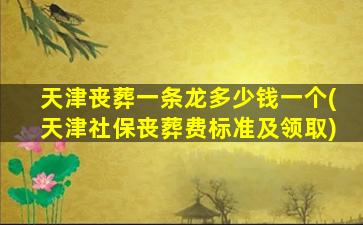 天津丧葬一条龙多少钱一个(天津社保丧葬费标准及领取)