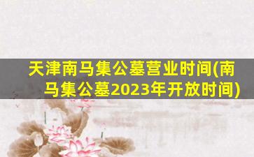 天津南马集公墓营业时间(南马集公墓2023年开放时间)