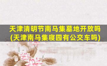 天津清明节南马集墓地开放吗(天津南马集寝园有公交车吗)