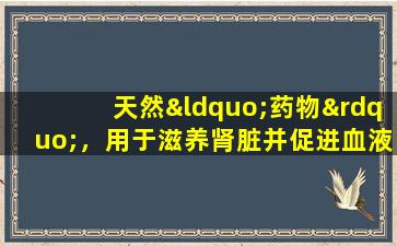 天然“药物”，用于滋养肾脏并促进血液循环！一位94岁的国家医疗大师经常吃它，肾脏能量足够