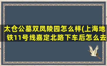 太仓公墓双凤陵园怎么样(上海地铁11号线嘉定北路下车后怎么去江苏太仓双凤纪念园)