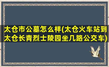 太仓市公墓怎么样(太仓火车站到太仓长青烈士陵园坐几路公交车)