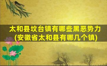 太和县坟台镇有哪些黑恶势力(安徽省太和县有哪几个镇)