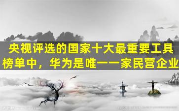 央视评选的国家十大最重要工具榜单中，华为是唯一一家民营企业