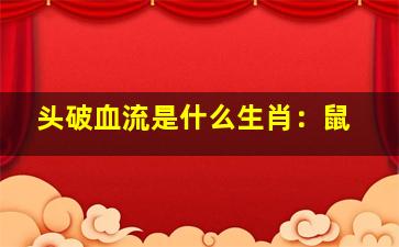 头破血流是什么生肖：鼠