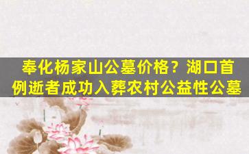 奉化杨家山公墓价格？湖口首例逝者成功入葬农村公益性公墓