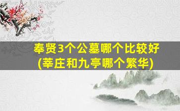 奉贤3个公墓哪个比较好(莘庄和九亭哪个繁华)