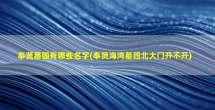 奉贤墓园有哪些名字(奉贤海湾墓园北大门开不开)