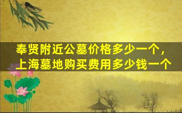 奉贤附近公墓价格多少一个，上海墓地购买费用多少钱一个