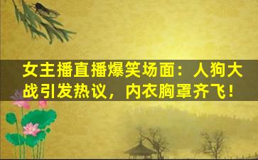 女主播直播爆笑场面：人狗大战引发热议，内衣胸罩齐飞！